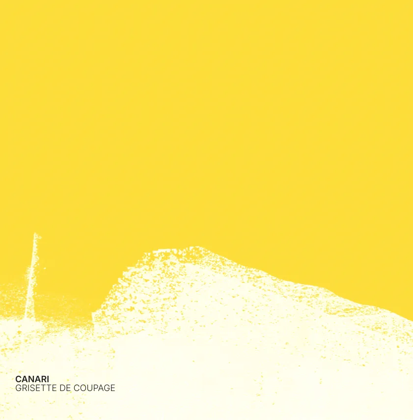 Canari