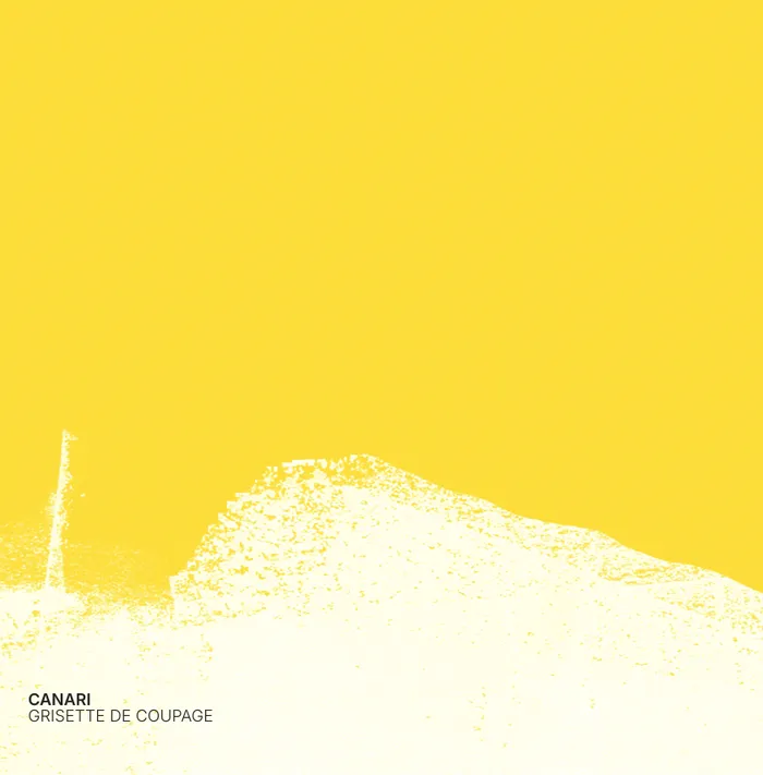 Canari